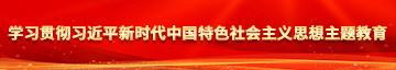 女人日b内射视频学习贯彻习近平新时代中国特色社会主义思想主题教育